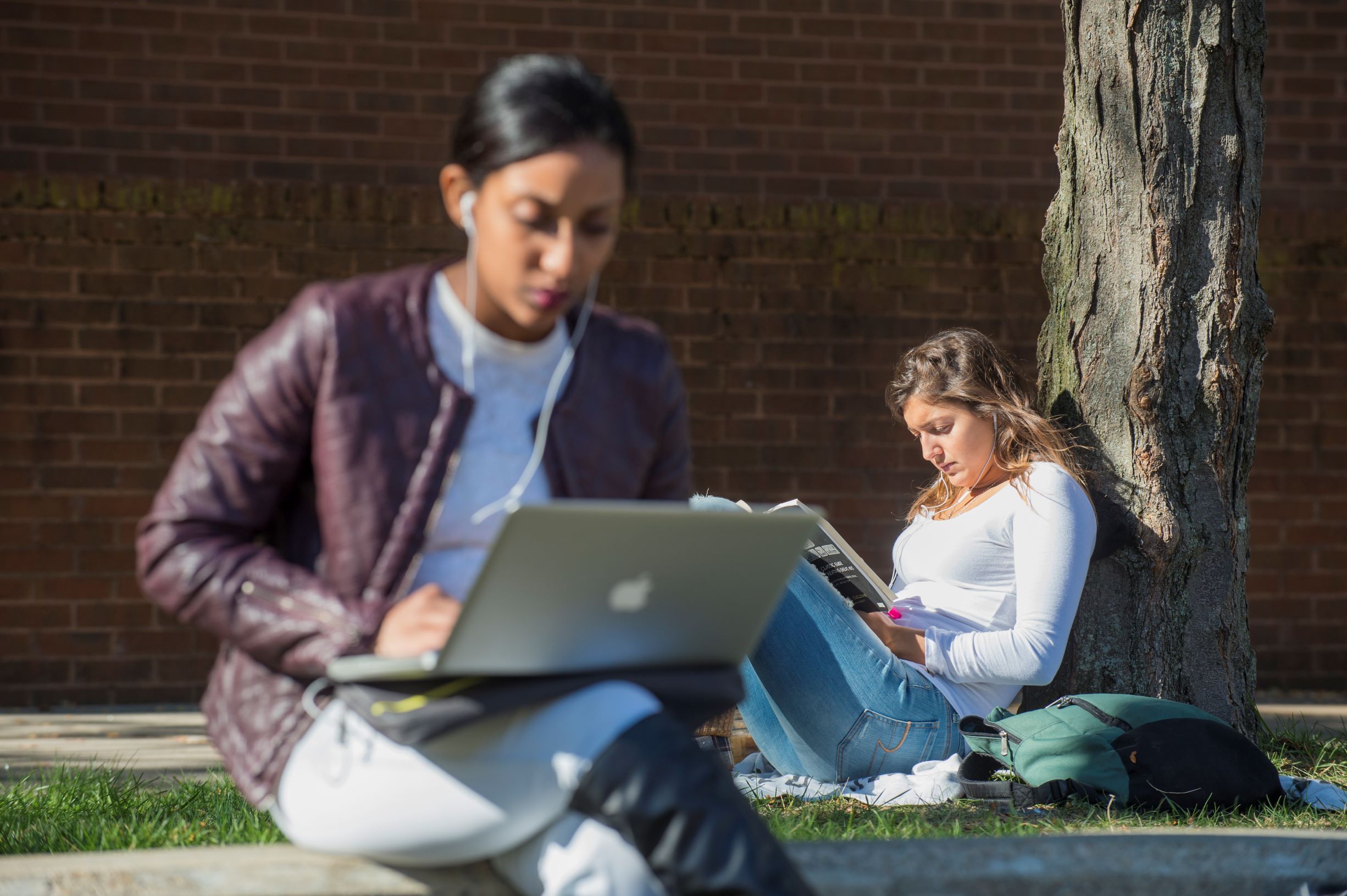 Female student working at computer and female student reading a book under a tree