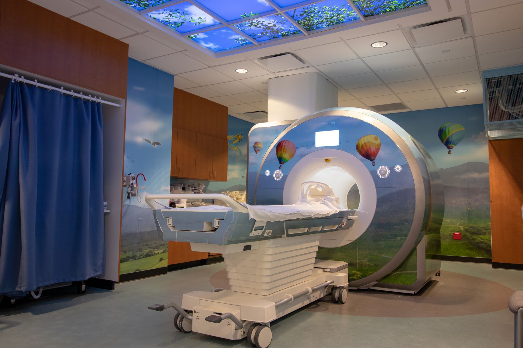 Fetal Magnetic Resonance Imaging