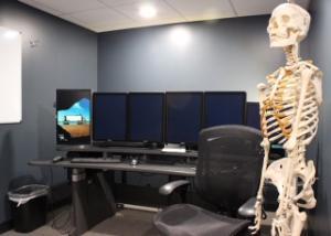 Reading room work station with four computer monitors, office chair and anatomical skeleton